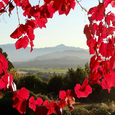 Mitchella Farm Διαμέρισμα Γουανάκα Εξωτερικό φωτογραφία