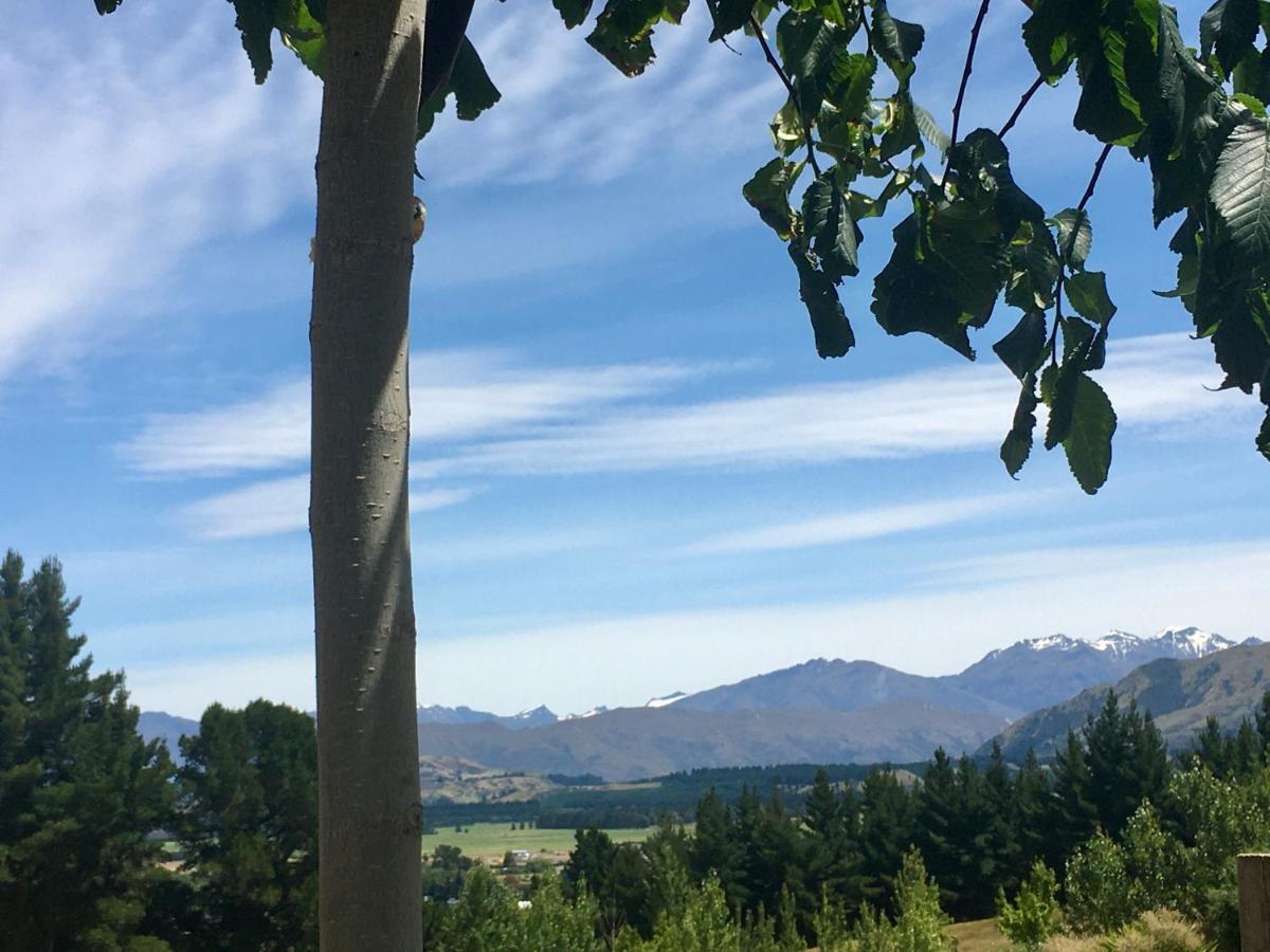 Mitchella Farm Διαμέρισμα Γουανάκα Εξωτερικό φωτογραφία
