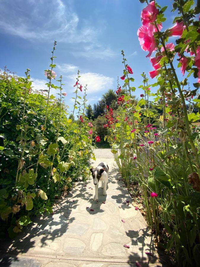 Mitchella Farm Διαμέρισμα Γουανάκα Εξωτερικό φωτογραφία