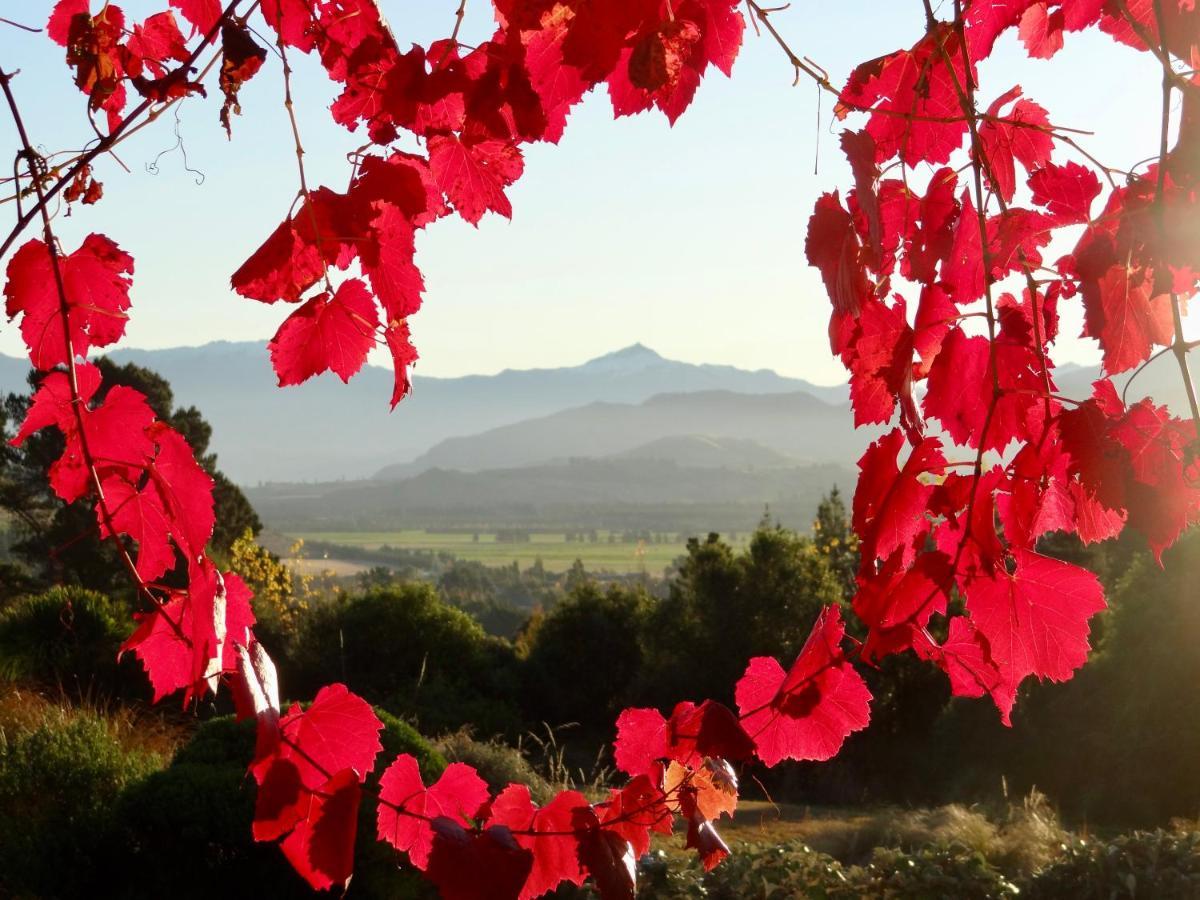 Mitchella Farm Διαμέρισμα Γουανάκα Εξωτερικό φωτογραφία